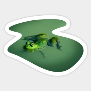 A frog swimming in a pond Sticker